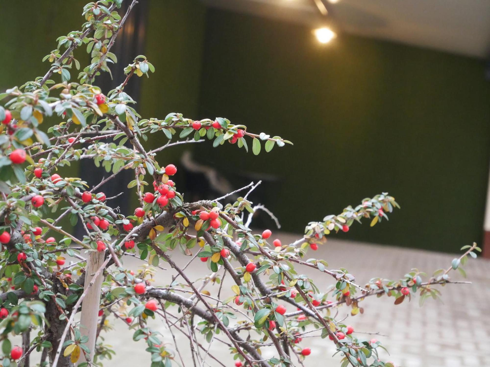 Casa Rosa Apartmanok เอ็กเกอร์ ภายนอก รูปภาพ